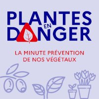 Plantes en danger : la minute prévention de nos végétaux on Seprem Productions 