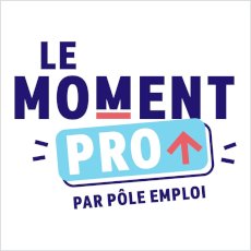 Le Moment PRO avec Pôle emploi - Site / Web'Tv on Seprem Productions 