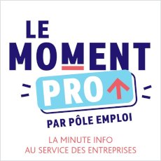 Le Moment PRO ! La minute info au service des entreprises par Pôle emploi  on Seprem Productions 