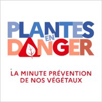 Plantes en danger !  on Seprem Productions 