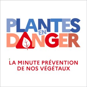 Plantes en danger ! 