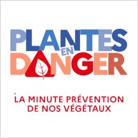 Spot sur les plantes en danger on Seprem Productions 