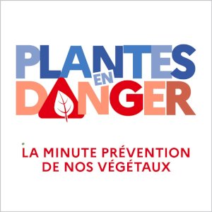 Spot sur les plantes en danger on Seprem Productions 